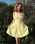 Bianca Embroidered Hollow-Out Mini Dress